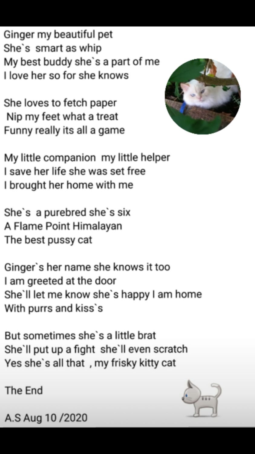 Ginger